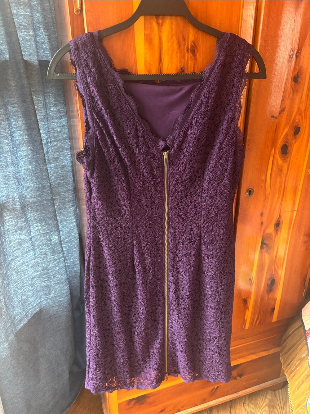 Adrianna Papell Deep Plum Lace Sleeveless Shift Dress